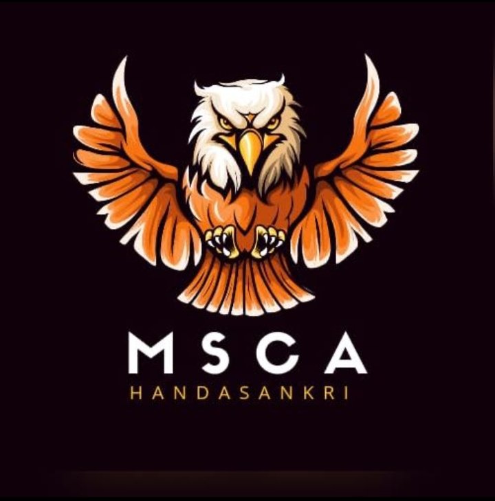 Maa Samaleswari Cricket Tournament Handasankri 